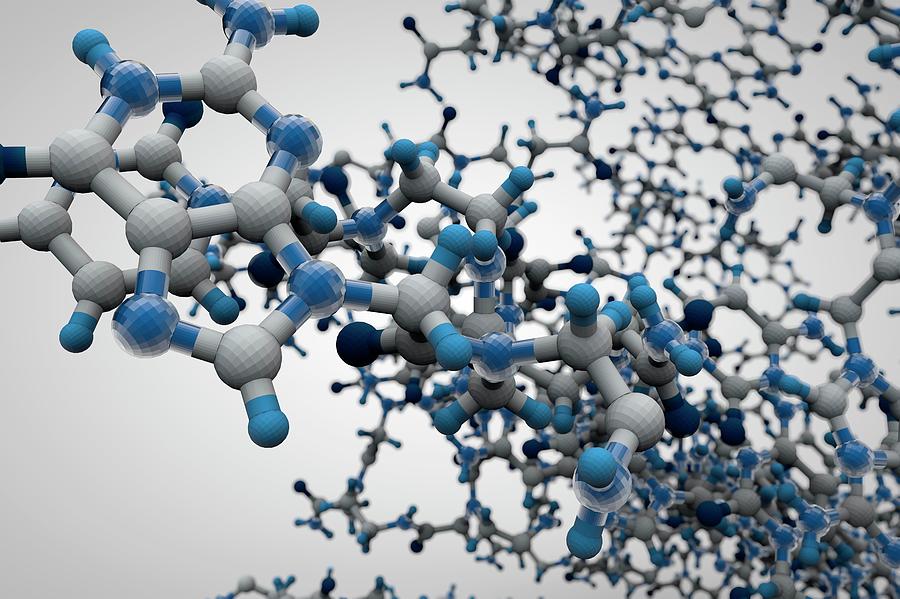 The Rise of Peptides in Fitness and Skincare: Why Everyone Is Making the Switch blog 4