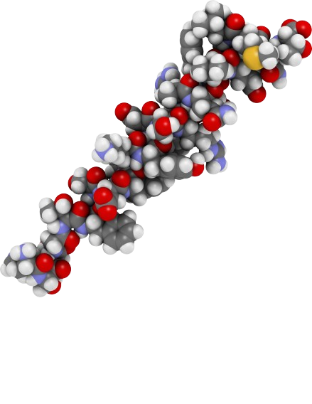 peptides removebg preview